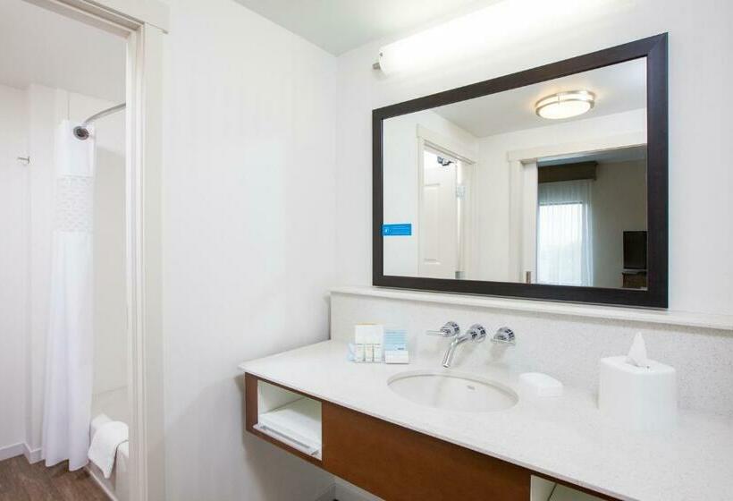 חדר דלוקס עם מיטת קינג, Hampton Inn & Suites Pasco/tricities