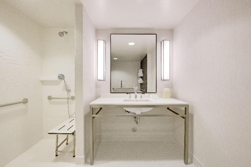 Стандартный Номер Кровать Кинг, Hilton Garden Inn North Houston Spring