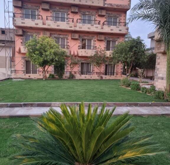 اتاق استاندارد یک نفره, New Memnon