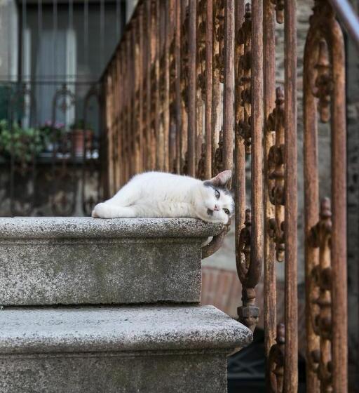 Номер Basic, Locanda Nel Cassero