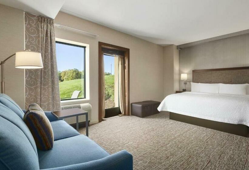 Люкс Кровать Кинг, Hampton Inn Penn Yan