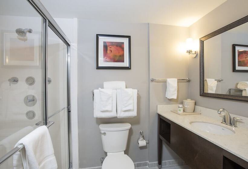 Номер Стандарт, Voco The Clair Cincinnati Downtown, An Ihg