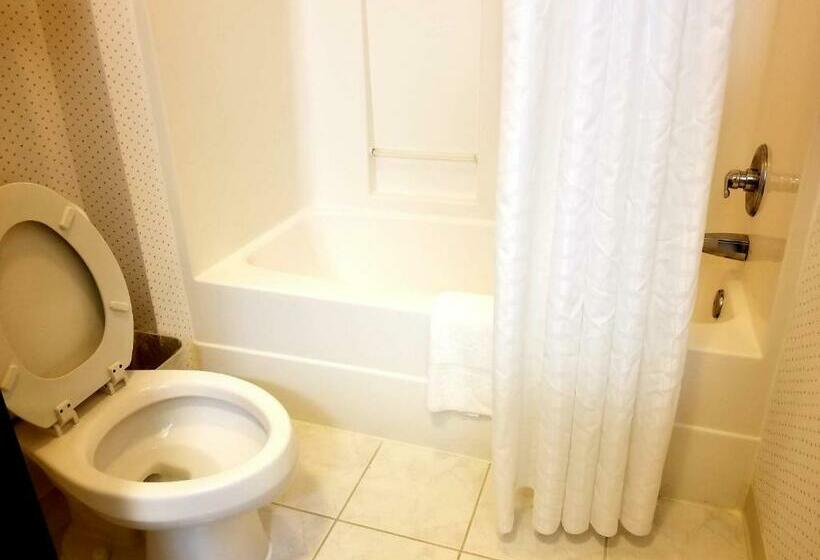 Номер Стандарт, Rodeway Inn Urbana Champaign University Area