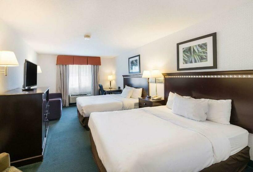 Номер Стандарт, Rodeway Inn Urbana Champaign University Area