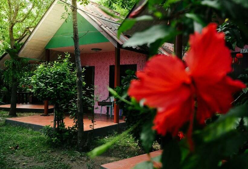 اتاق استاندارد, Coral Bungalows