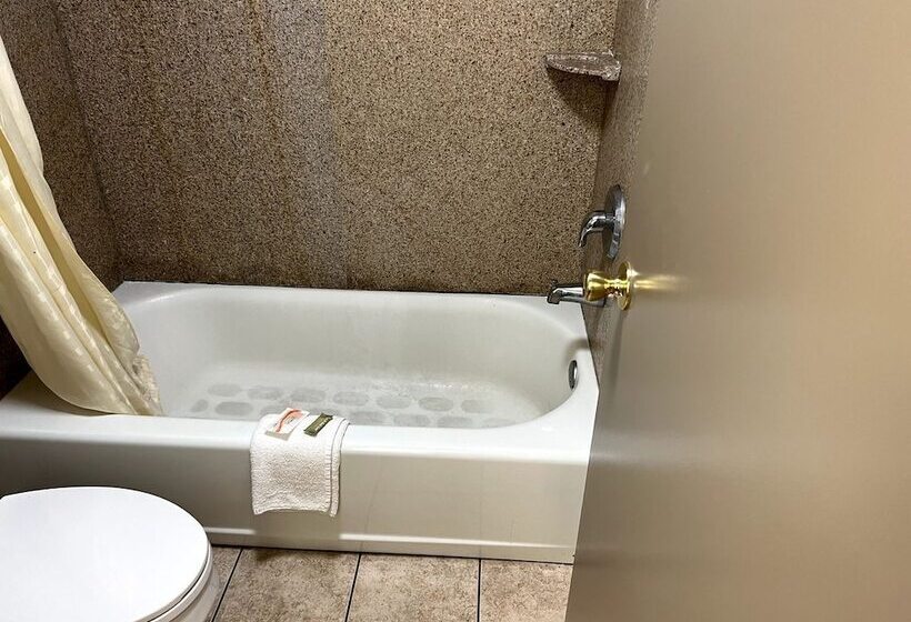 اتاق استاندارد, Budget Plaza Motel