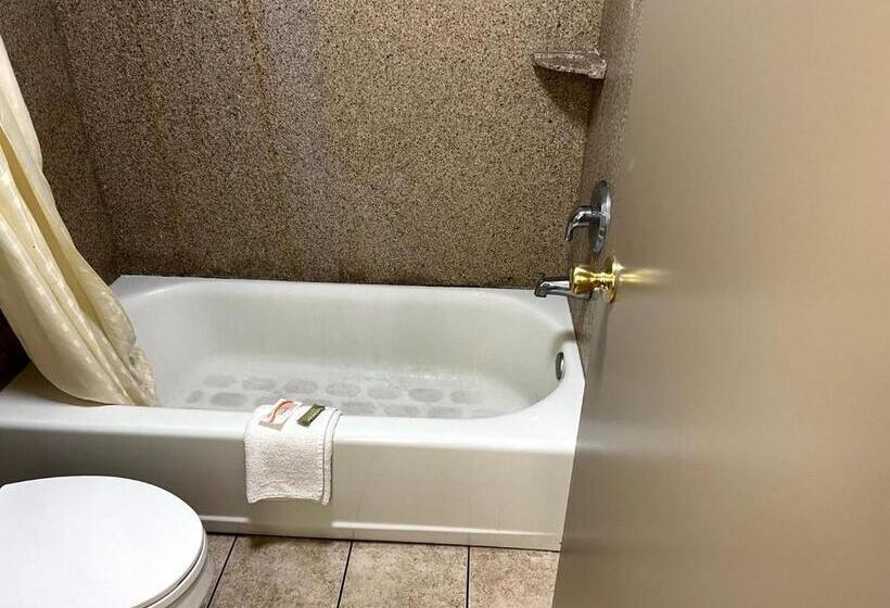 Deluxe Suite King Bed, Budget Plaza Motel