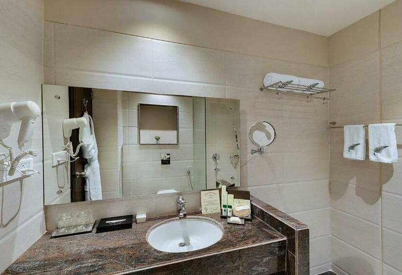 Quarto Premium, The Fern Residency Udaipur