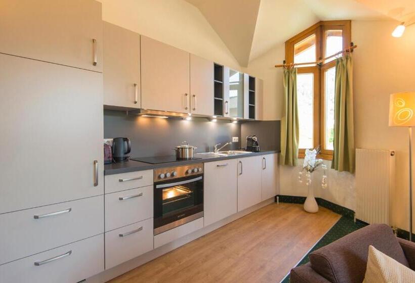 Апартаменты 1 Спальня, Das Gastein   Ganzjährig Inklusive Alpentherme Gastein & Sommersaison Inklusive Gasteiner Bergbahnen