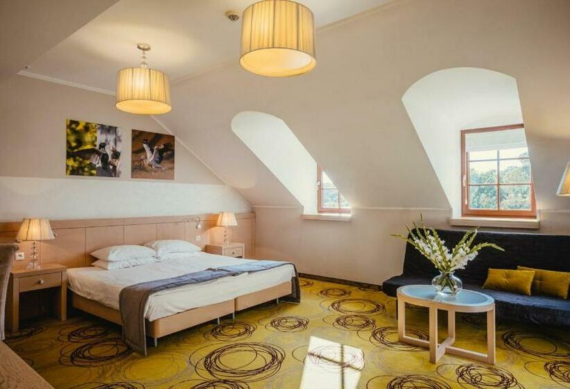 Номер Deluxe, Hanza Pałac Wellness & Spa