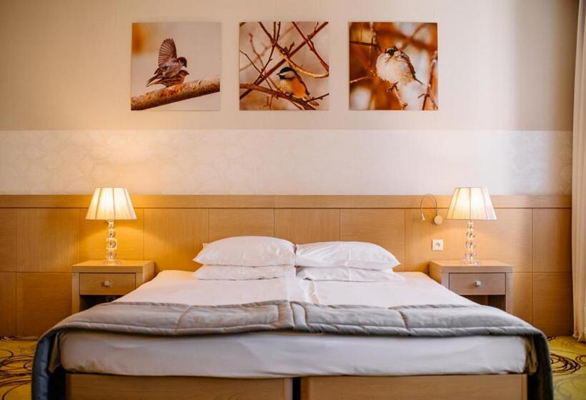标准单人间, Hanza Pałac Wellness & Spa