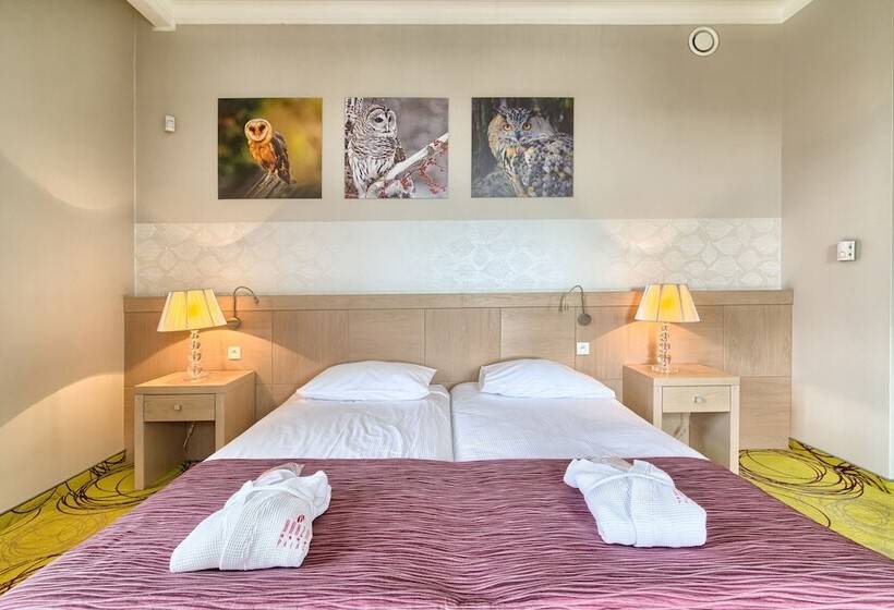 Номер Стандарт Индивидуальный, Hanza Pałac Wellness & Spa