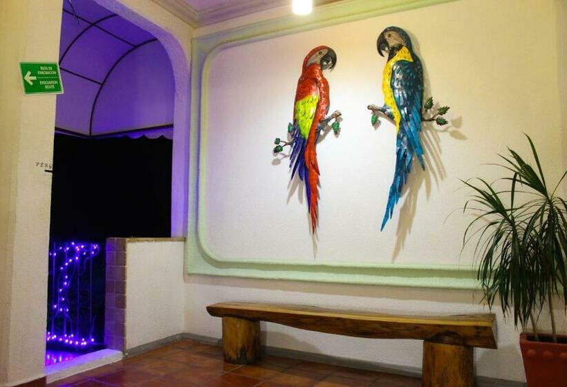 スタンダード４人部屋, Careyes Puerto Escondido