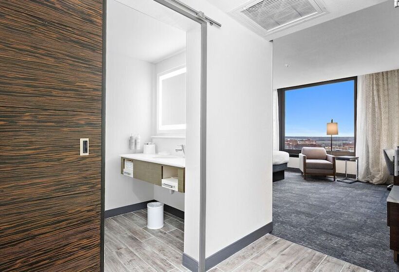 Стандартный Номер Кровать Кинг, Hampton Inn Kansas City/downtown Financial District