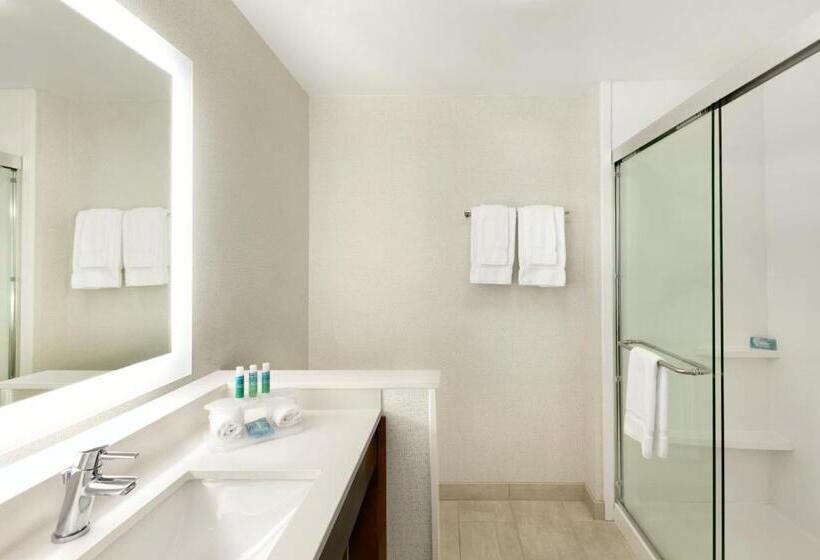 Люкс Кровать Квин, Holiday Inn Express & Suites Salisbury, An Ihg