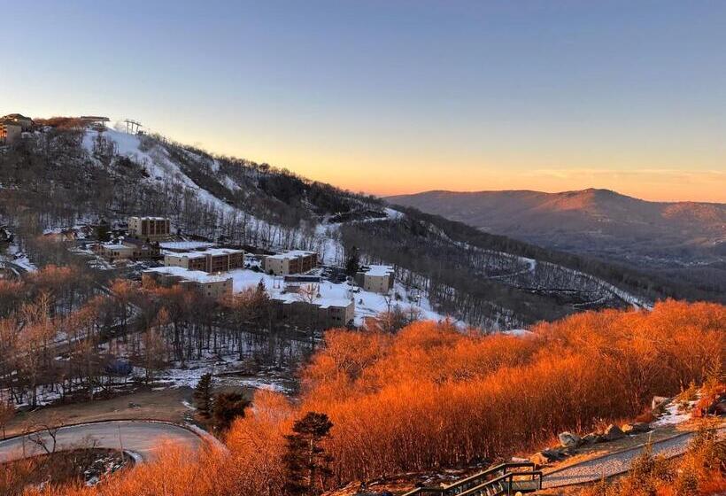 Апартаменты Deluxe 1 Спальня, On Top Of The World At Sugar Top Resort