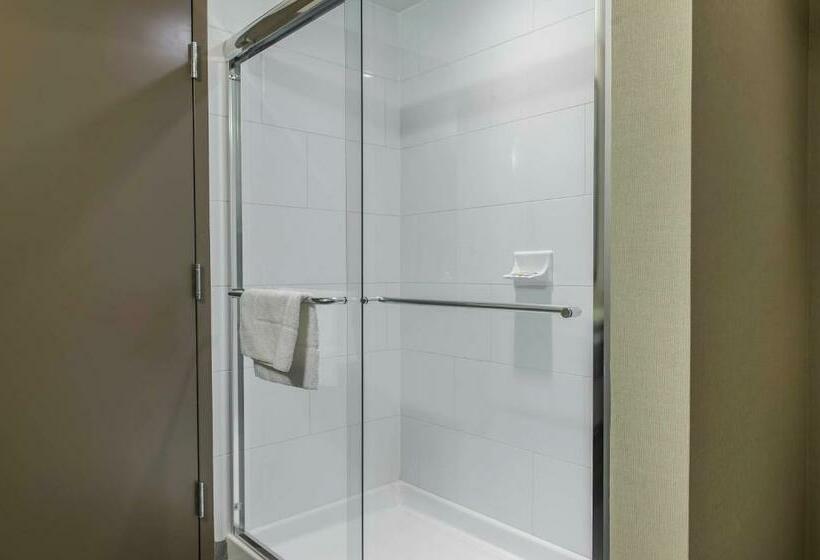 Стандартный Номер Кровать Кинг, Quality Inn & Suites Kingston