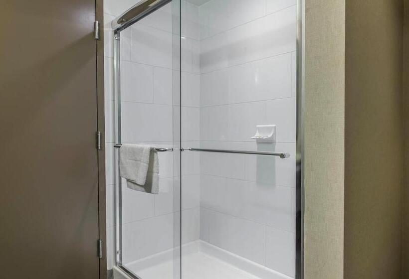 Люкс Кровать Кинг, Quality Inn & Suites Kingston