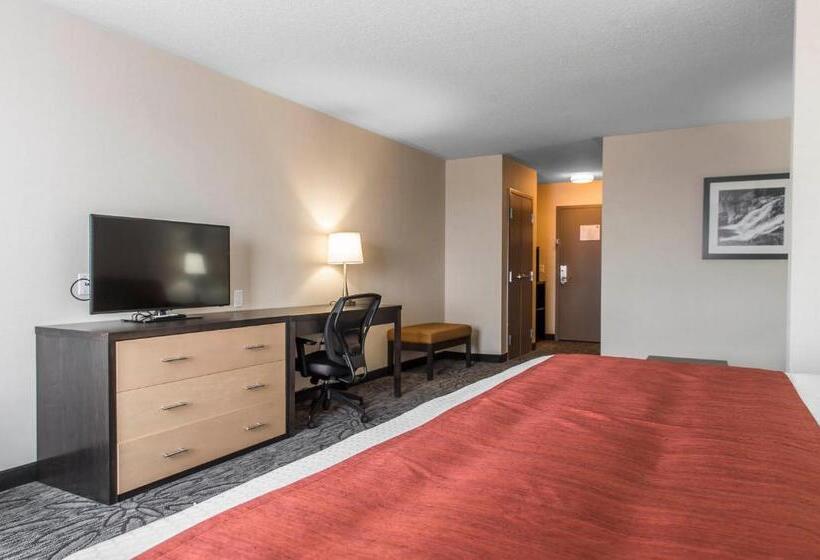 Люкс Кровать Кинг, Quality Inn & Suites Kingston