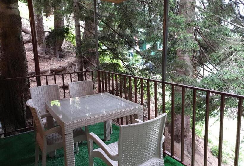 کلبه ییلاقی, Ayder Doga Resort