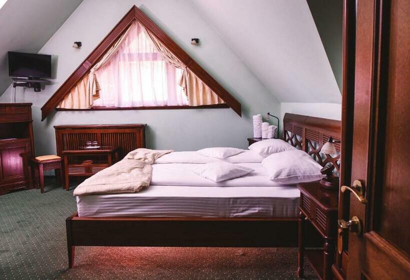 Номер Стандарт, Pension Brasovu Vechi