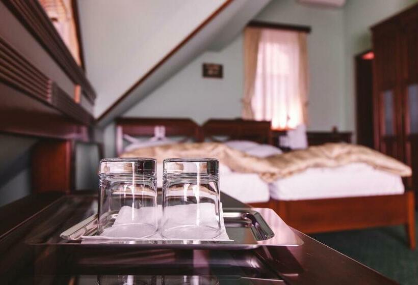 Номер Стандарт, Pension Brasovu Vechi