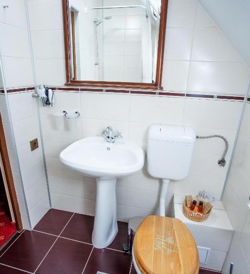 Номер Deluxe, Pension Brasovu Vechi