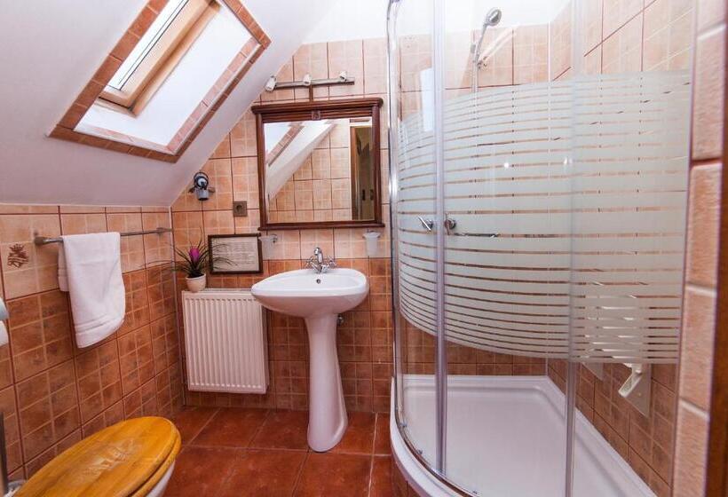 Номер Deluxe, Pension Brasovu Vechi
