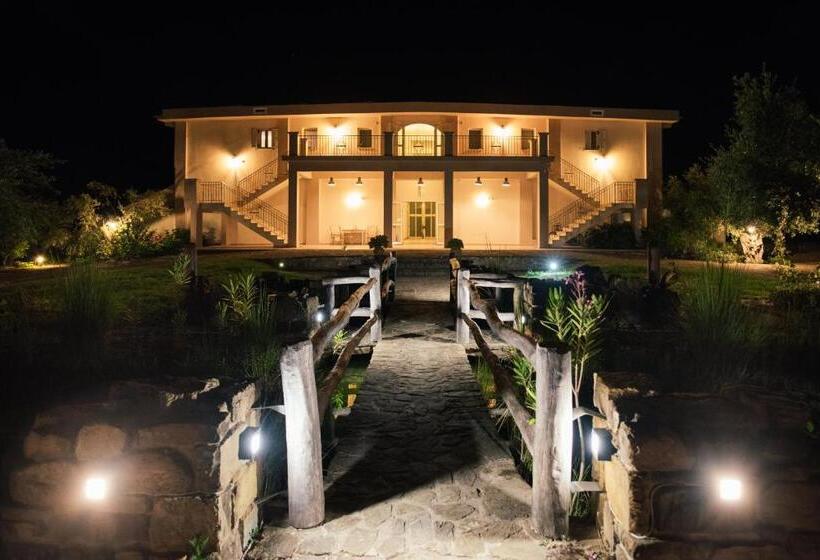 Студия Стандарт, Zoe Seaside Resort