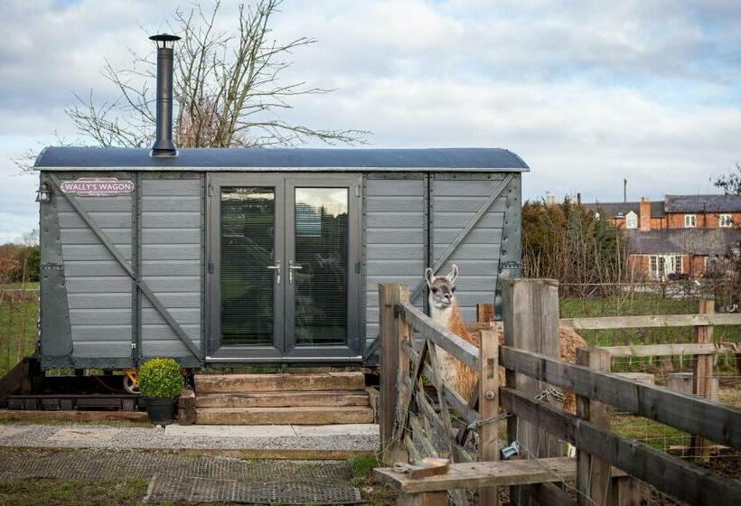 Номер Стандарт, Skipbridge Farm Glamping