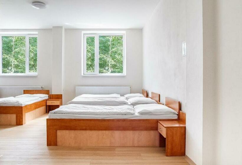 تختخواب در اتاق مشترک, Hostel Beskydy