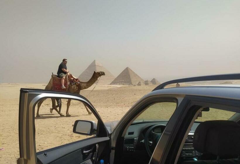 اتاق استاندارد یک نفره, Oh! Cairo Pharaoh Hostel