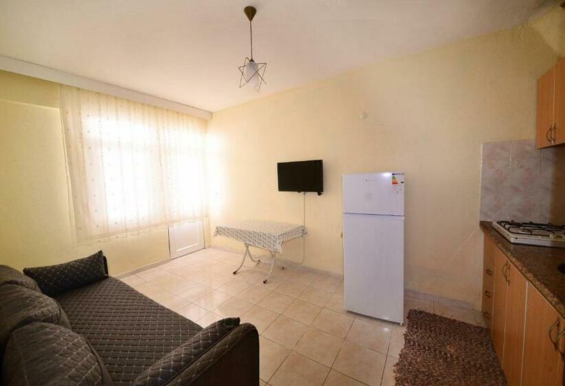 Apartamento 1 Dormitório com Sacada, Fethiye Apart Otel
