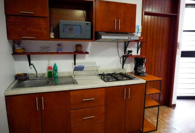 Номер Стандарт, Hostal Chocolate Calenda