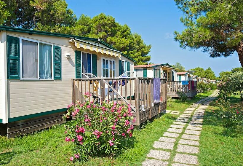 Дом 2 Спальни, Arena Stupice Camping Homes