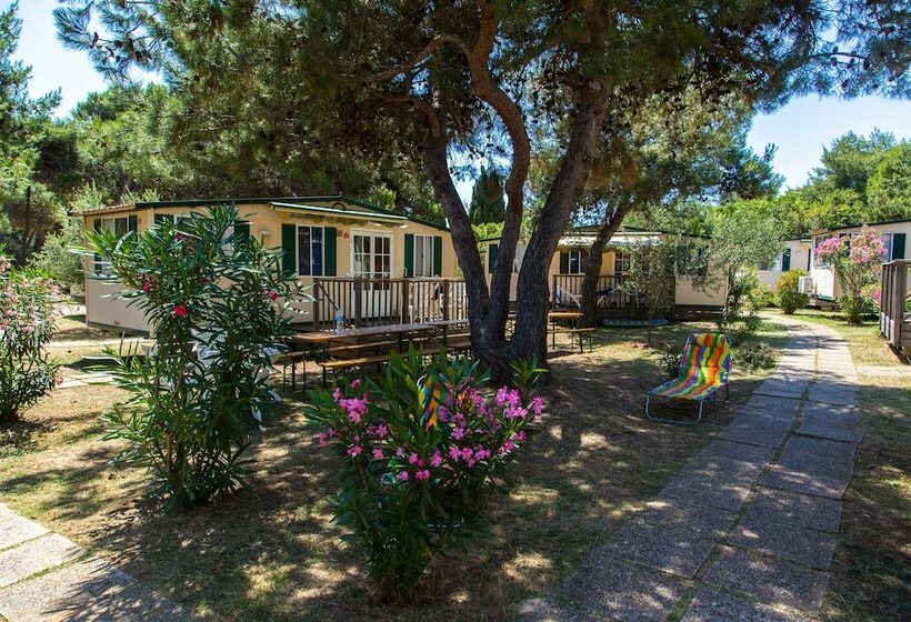 Дом 2 Спальни, Arena Stupice Camping Homes