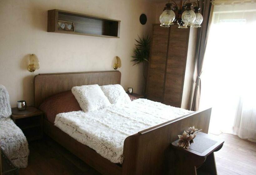 اتاق استاندارد با تراس, Penzion Svojše