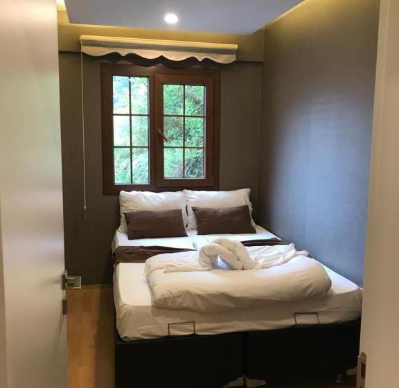 Quarto Triplo Estandar, Uzungol Huzur