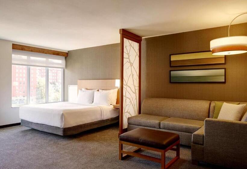 Номер Стандарт Кровать Кинг Адаптированный для Инвалидов, Hyatt Place Arlington Courthouse