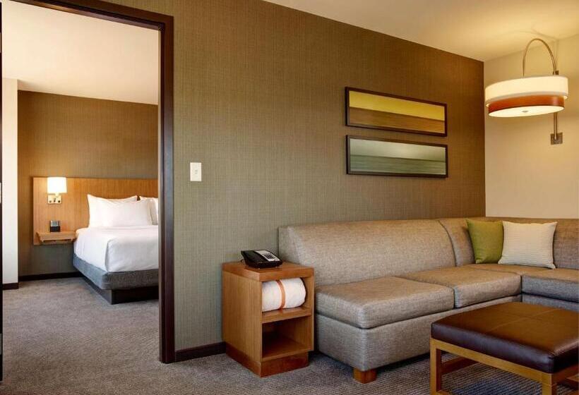 스위트 킹사이즈 침대, Hyatt Place Arlington Courthouse