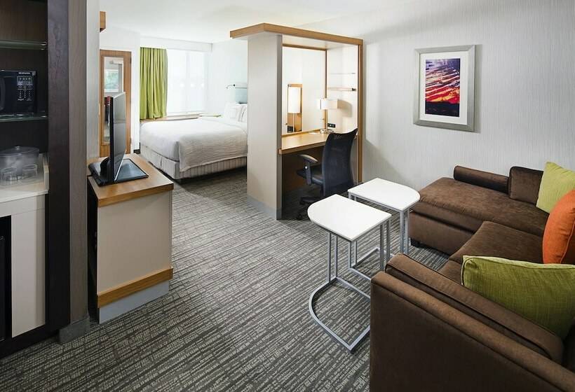 Студия Стандарт, Springhill Suites By Marriott Carle Place Garden City