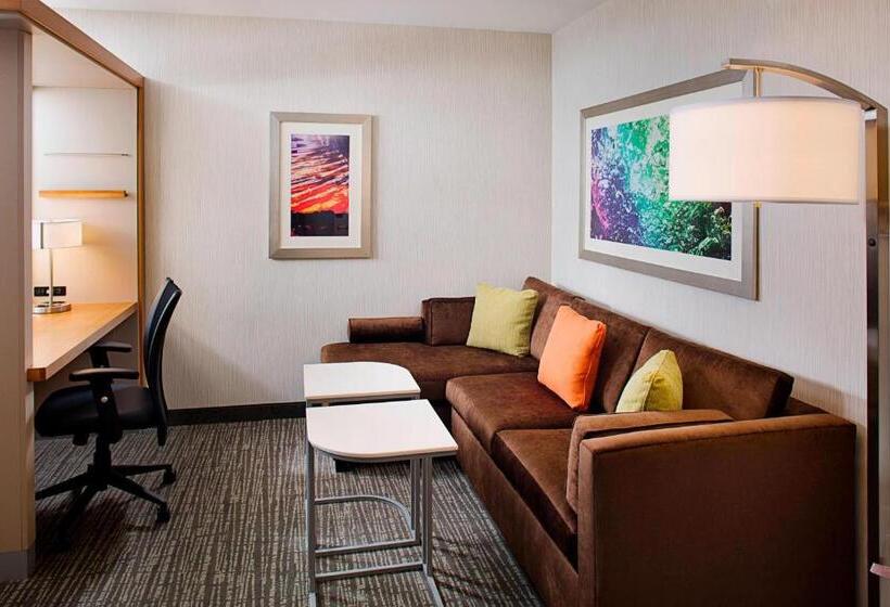 Студия Стандарт, Springhill Suites By Marriott Carle Place Garden City