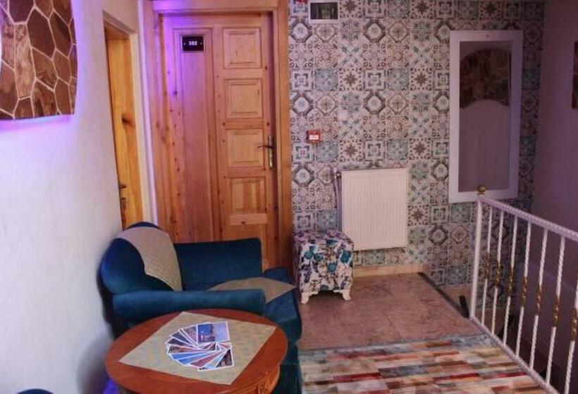 Single Deluxe Room, The Trip Istanbul