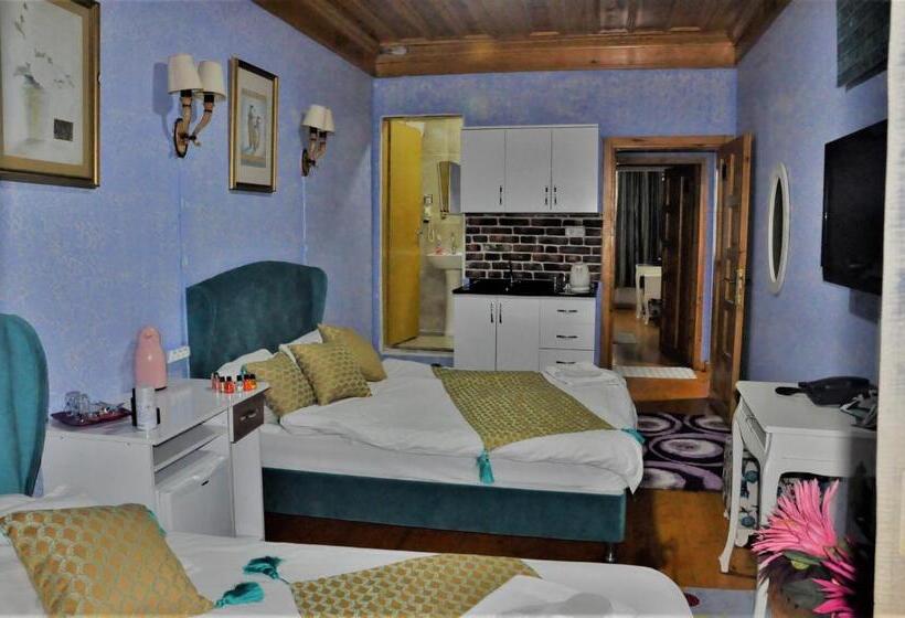 Single Deluxe Room, The Trip Istanbul