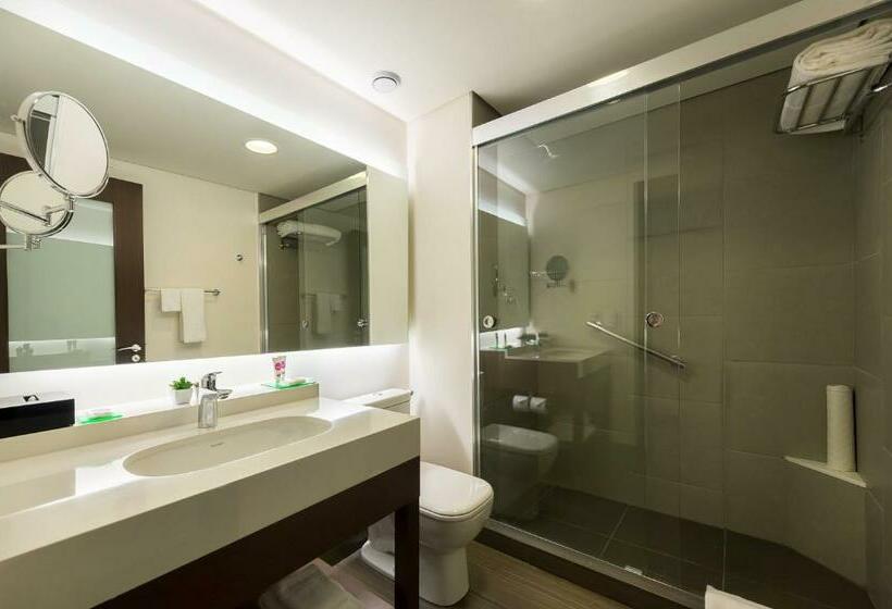 Стандартный Номер Кровать Кинг, Hyatt Place Sao Jose Do Rio Preto