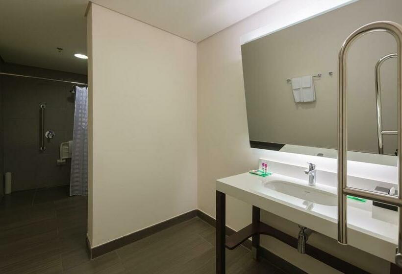 Номер Стандарт Кровать Кинг Адаптированный для Инвалидов, Hyatt Place Sao Jose Do Rio Preto