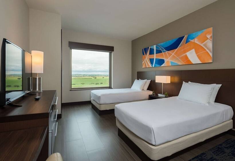 Номер Стандарт, Hyatt Place Sao Jose Do Rio Preto