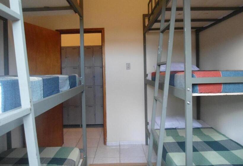 공용 욕실 구비 공동 객실 내의 침대, Casamatta Hostel