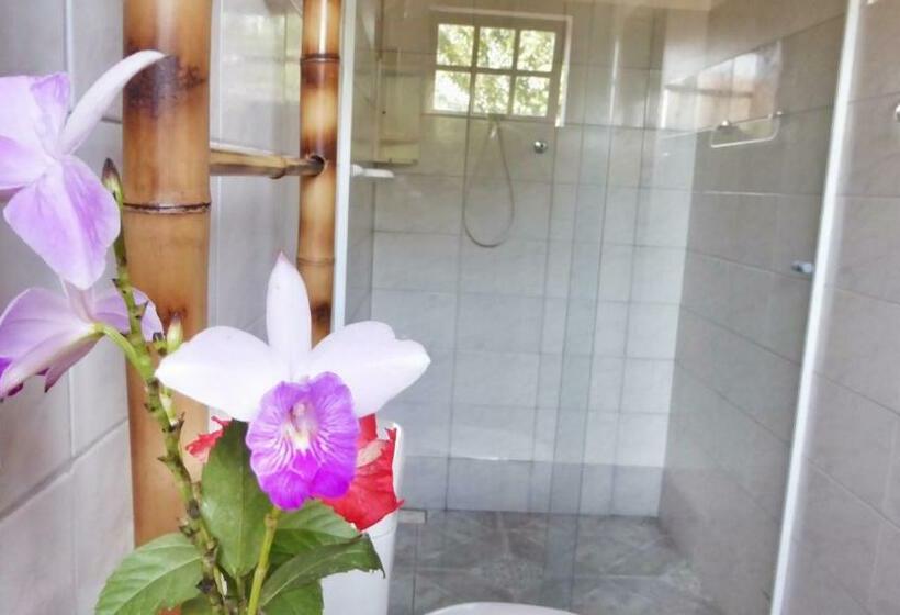 Номер Deluxe, Planeta Banana Paraty