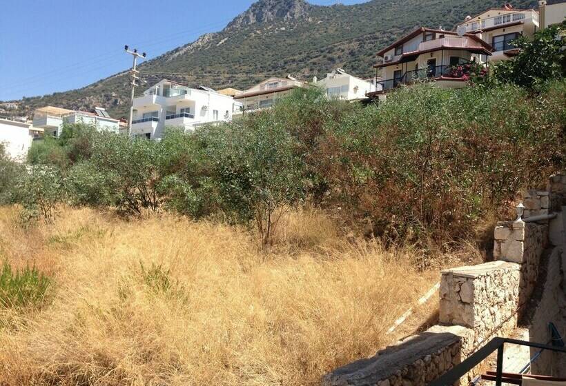 اتاق استاندارد, Lavender S Lodge